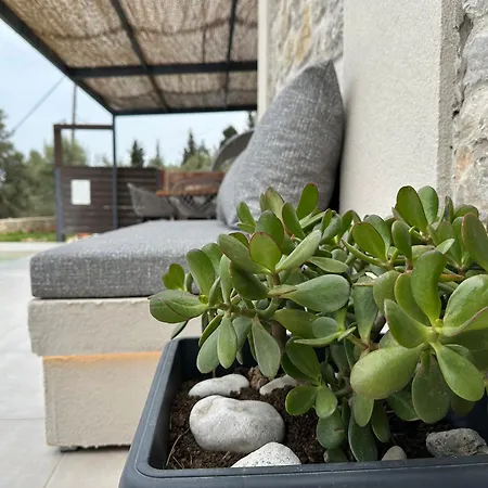 Calmia Fine Living Villa Tsoukaládhes